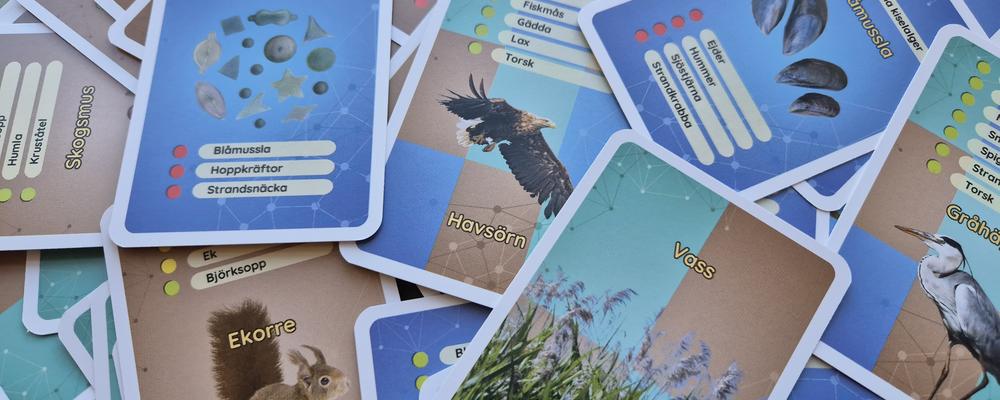 Spelkort med djur och växter 