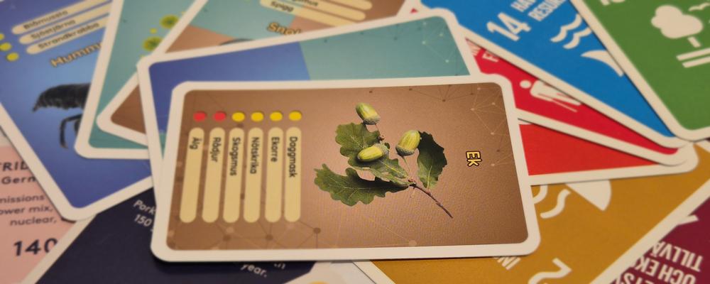 Spelkort från olika hållbarhetsspel utlagda på ett bord